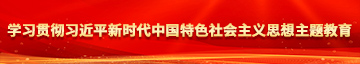 少妇被c黄在线网站学习贯彻习近平新时代中国特色社会主义思想主题教育